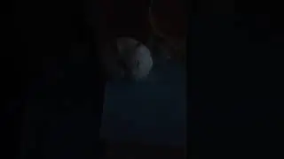 НА ВЫРОСТ 😜😜😜