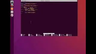 Scripting avanzado Linux