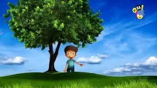 WHAT ARE TREES FOR II