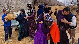 Lovely Gathering of Grandma's Grandchildren in the Beautiful Farm