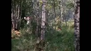 ТЕСТ НА ПСИХИКУ, КТО ЗАСМЕЁТСЯ ИЛИ УЛЫБНЁТСЯ - лайк и подписку