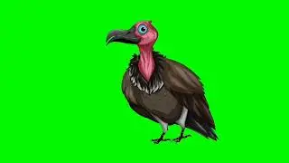 Scary Bird Cheel/Scary Bird Green Screen Video | Free Green Screen | No Copyright Greenscreen Bd