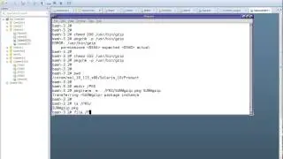 Solaris 10 Packages Management