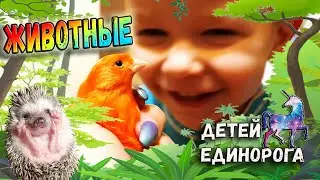 ЖИВОТНЫЕ Детей ЕДИНОРОГА / Animals Unicorn kids🐾