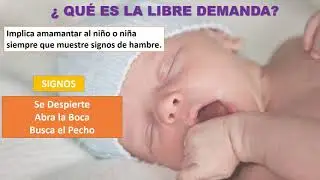 Capsula 3 Lactancia Materna: Libre Demanda