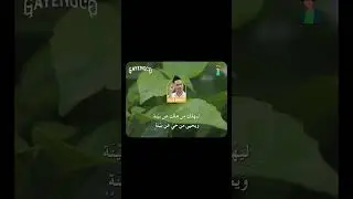 BUKTI KUASA ALLAH