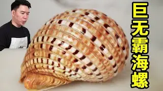 Big Mac conch  weighing 2kg  tastes crisp and delicious after being out of the pot.