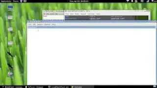 Change hostname on Kali Linux