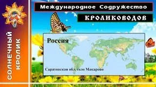 Курская обл. ЛПХ  Рыльский кролик