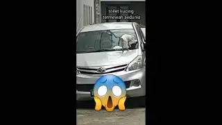 Toilet Kucing Termewah Sedunia | Shorts
