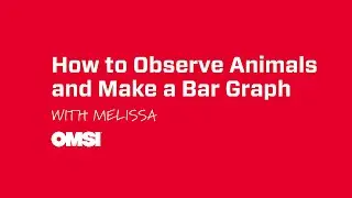 How to Observe Animals and Make a Bar Graph