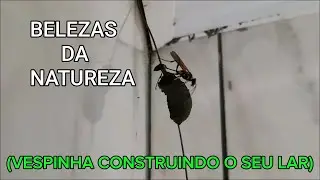 BELEZAS DA NATUREZA