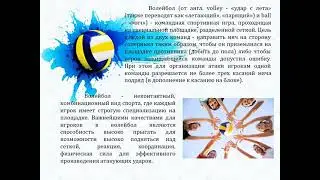 Мир волейбола