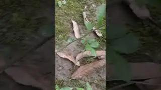 Just a natural ✨✨