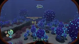 Subnautica-looking for ruby