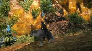 Torgal is the BEST BOY EVER!!! FF14 Crossover event!!!