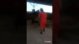 Уй жумысы
