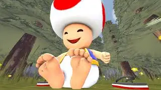 Toad's Stroll