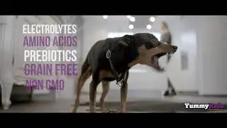 YummyRade - Low-Calorie Gravy Topper For Pet Food