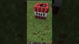 minecraft #minecraftshorts #short (5)