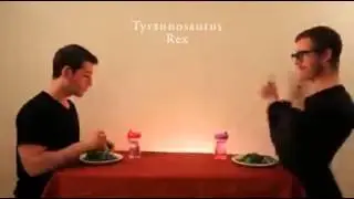 how animals eat