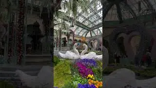 Bellagio Las Vegas
