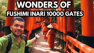 Why Everyone Visits Fushimi Inari when in Japan (10000 Gates)🇯🇵 Top Place to Visit in Kyoto