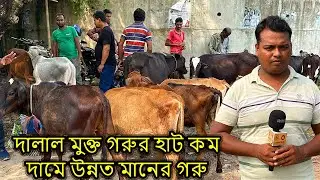 ঝামেলামুক্ত দালাল মুক্ত গরুর হাট কম দামে উন্নত মানের গরু পাবেন