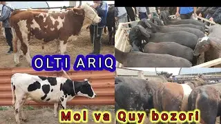 OLTI ARIQ mol va quy bozori yangi narhlar. 04.29.22 yil. hammasidan bor.