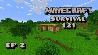 Building The House | Minecraft 1.21 | Survival Longplay | Ep 2