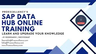 SAP Data hub Online Learning Excellence: SAP Data Hub Training with Industry Experts