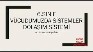 6.SINIF DOLAŞIM SİSTEMİ