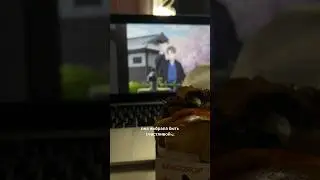 Она выбрала быть счастливой♡