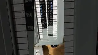 Every home should have one of these whole home surge protectors.