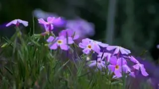 *Хорошо*   Христианские песни,Aнжелика Вишня