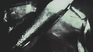 Veronica Cerrotta - I