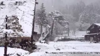 DYL Greetings from Takayama, Japan!