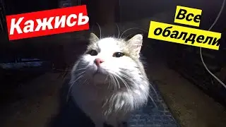 Каждый делает что хочет !!! Вот и все дела !!!
