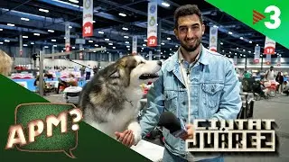CIUTAT JUÁREZ: A la Fira de Mascotes 🐶🐈