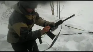 VID 20170219 WA0002