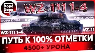 WZ-111 1-4 (ТВИНК) 4700 AVG DMG | ЛУЧШИЙ ТТ9