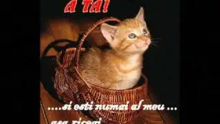 Nu merita sa plangi pt nimeni!Iar cel care merita, nu te va face sa plangi..