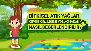 Bitkisel Atık Yağlar, Çevre Kirliliğine Yol Açmadan Nasıl Değerlendirilir?