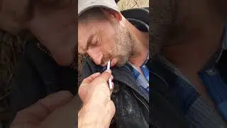 Работа не волк