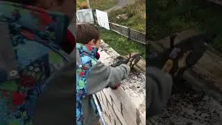 Курган Смолено