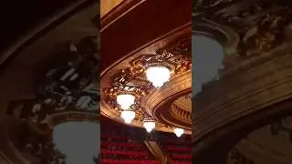 uma lembrança preciosa de uma visita ao Theatro Municipal do Rio de Janeiro ✨️🤩🥰 #riodejaneiro