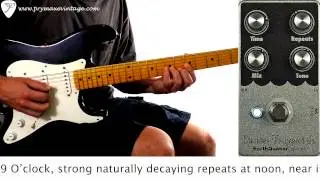 Earthquaker Devices Disaster Transport Jr. Delay