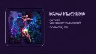 Doja Cat, JID - Options (Instrumental Slowed)