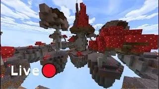 Live 🔴 Playing on CubeCraft with viewers (again)!