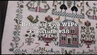 Flosstube #38 - Between Two WIPs - Will Caroline finish her Smalls exchange in time?